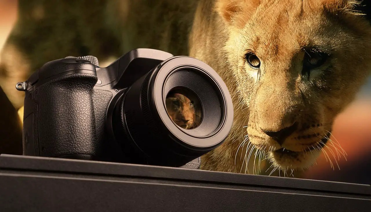 safari camera gear
