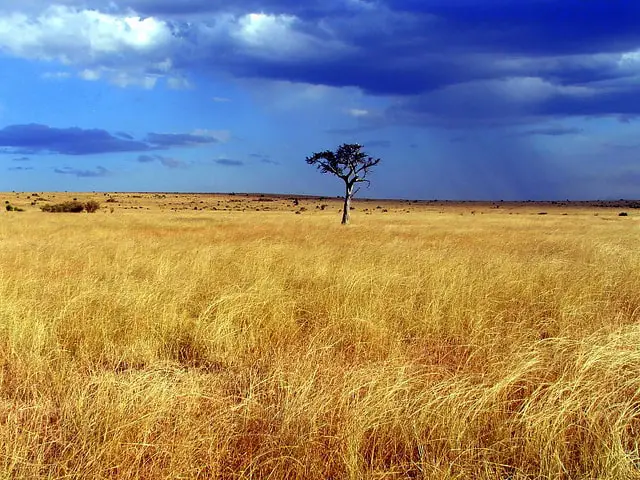 land of masai mara
